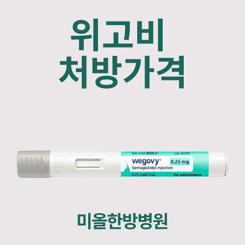 위고비 처방가격